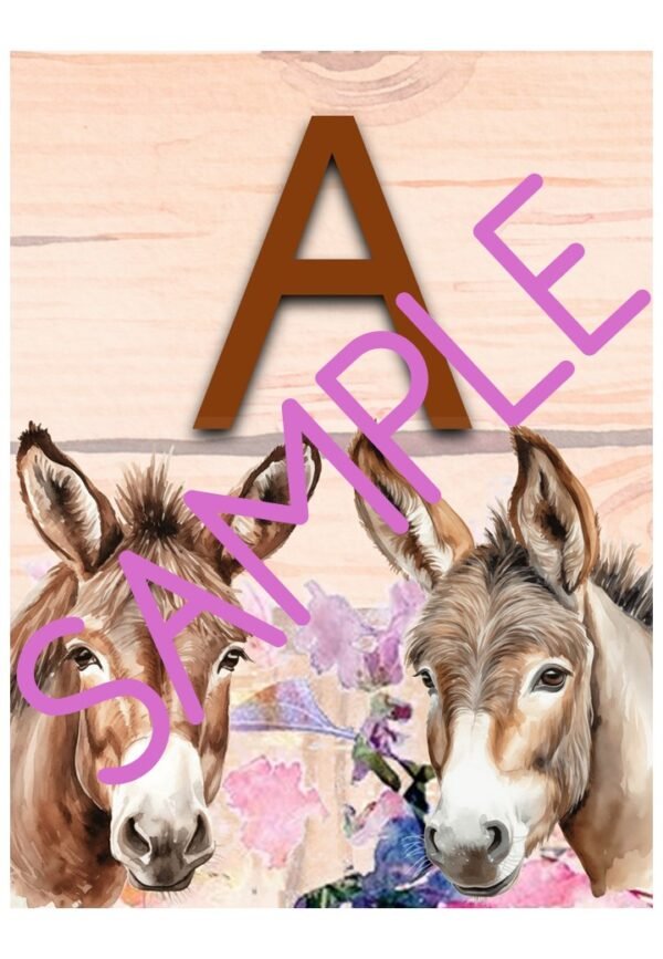 Donkey Classroom Theme - Image 3