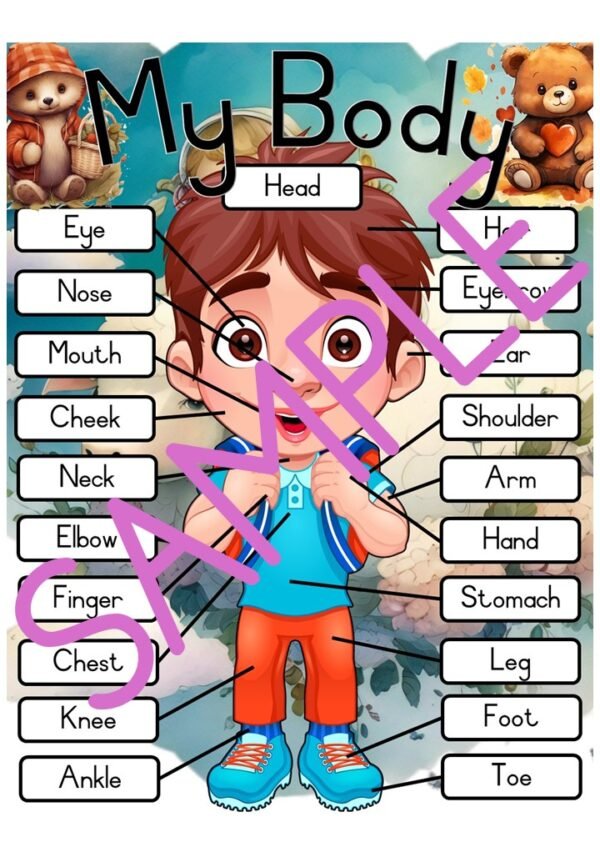Bear Classroom Theme - Image 6
