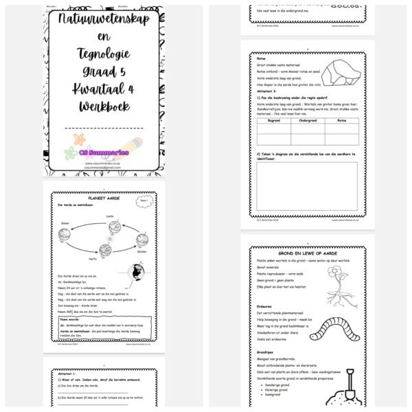 Natuurwetenskap en Tegnologie Graad 5 Kwartaal 4 Werkboek - Image 2