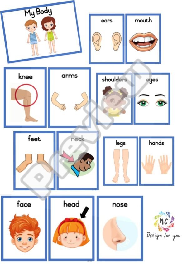 Life Skills Theme - My Body