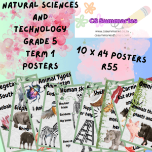 Natural Science and Technology Grade 5 Term 1 Posters