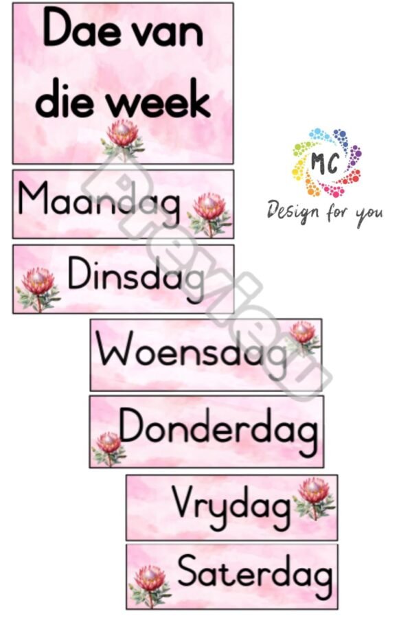 Protea Klaskamerpakket (Afrikaans) - Image 3