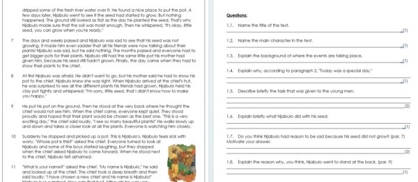 English FAL Gr 7 Term 2 - Image 4