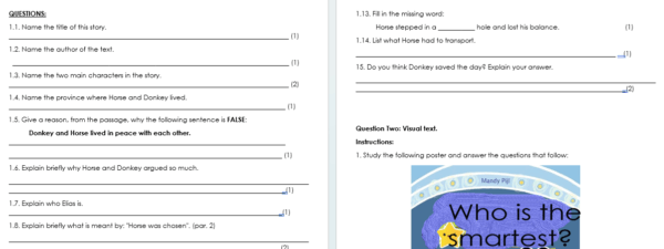 English FAL Gr 6 Term 2 - Image 3