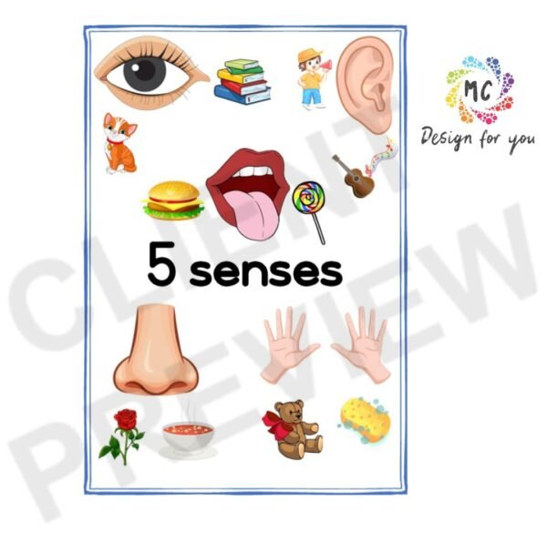 Life Skills Theme - Five Senses