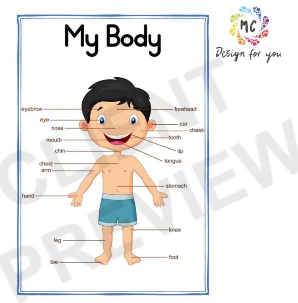 Life Skills Theme - My Body - Image 2