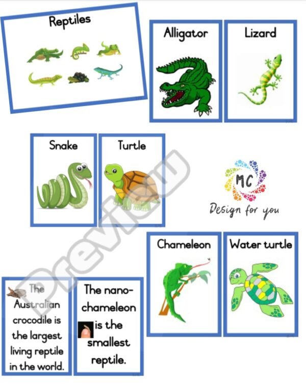 Life Skills Theme - Reptiles