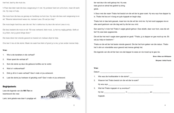 Afrikaans Huistaal Graad 4: Kwartaal 3 - Kreatiewe skryfprojek - Image 3