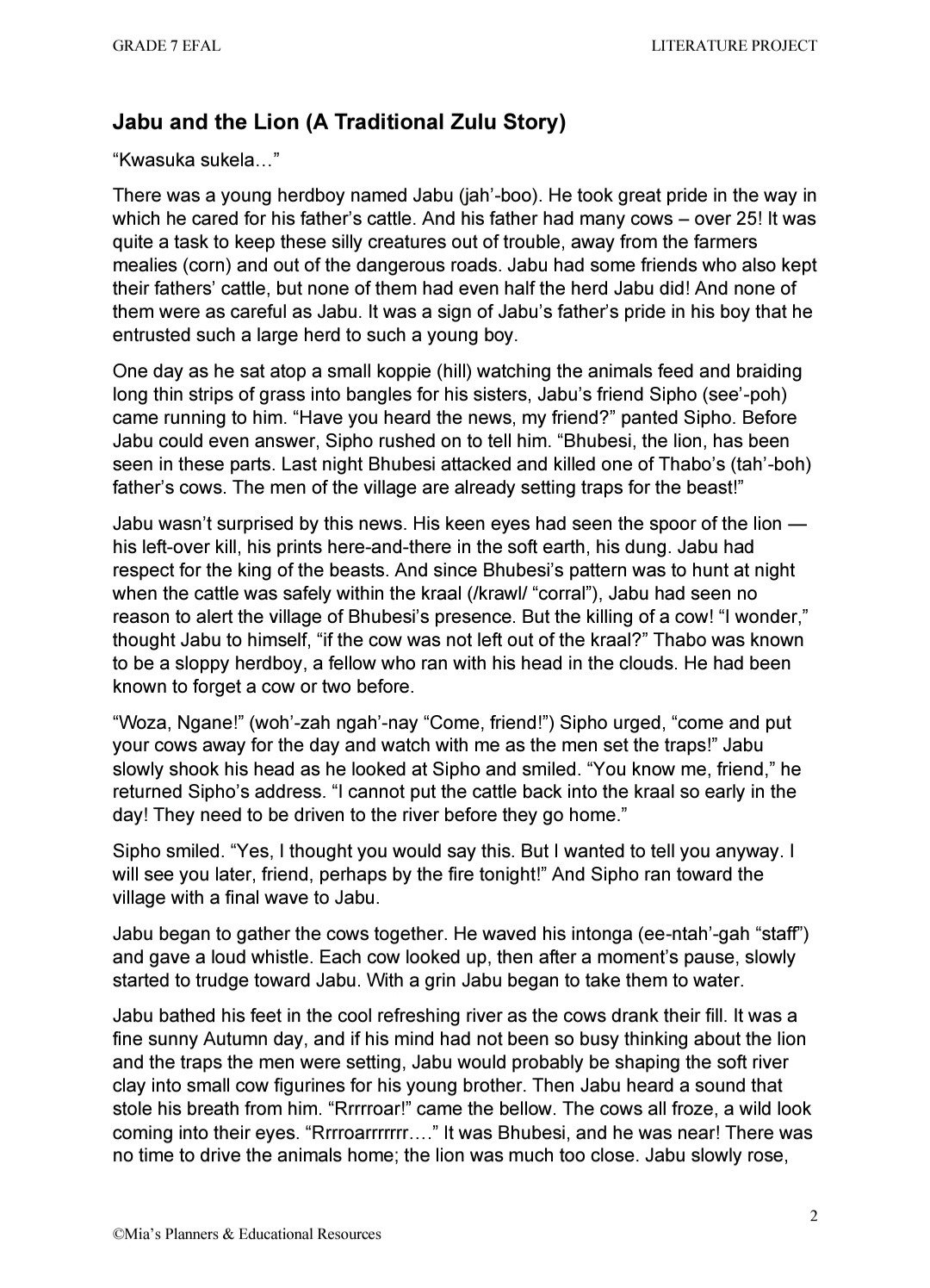 Gr7 EFAL Literature Project (T3) - Image 2