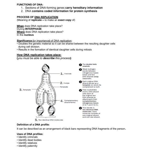 Grade 12 Life Science Summaries and Revision Paper 2 - TeacherHQ
