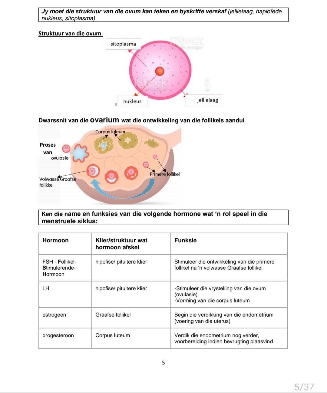 Graad 12 Lewenswetenskappe Opsommings en Hersiening Vraestel 1 - Image 3