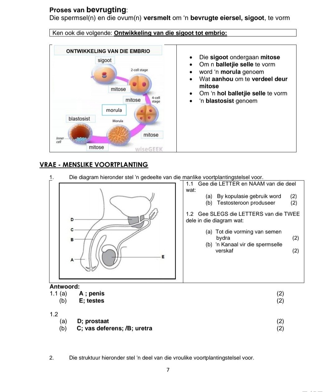 Graad 12 Lewenswetenskappe Opsommings en Hersiening Vraestel 1 - Image 4