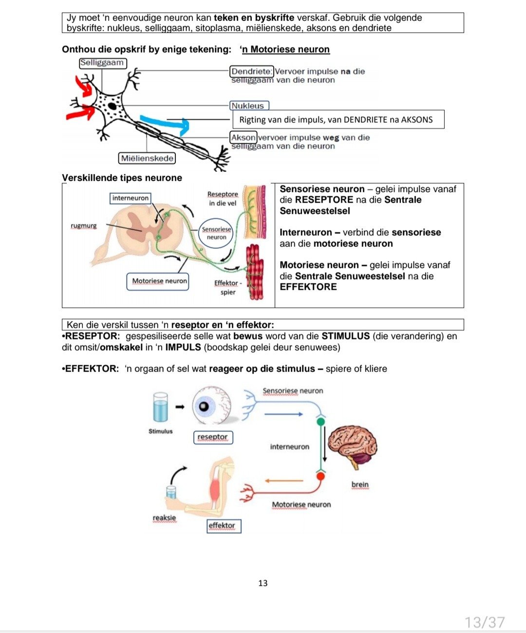 Graad 12 Lewenswetenskappe Opsommings en Hersiening Vraestel 1 - Image 5