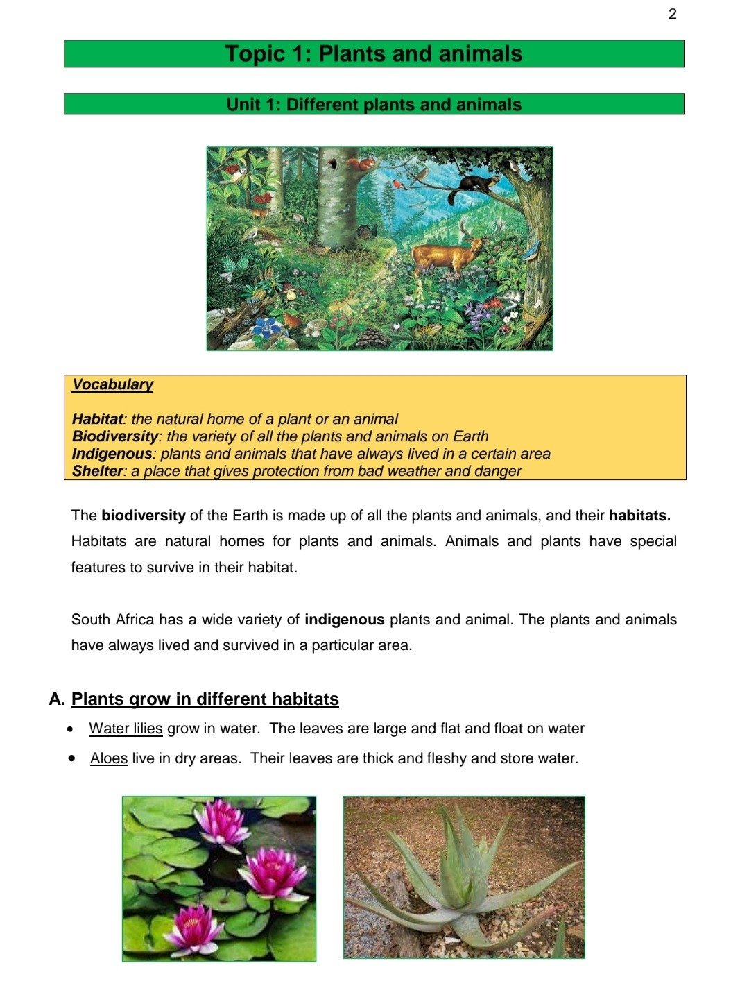 Grade 5 Natural Science and Technology Summary (Term 1- 4) - Image 3