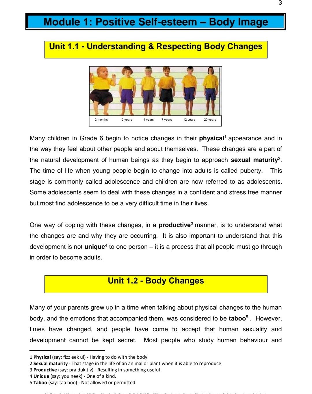 Grade 6 Life Skills Summary (Term 1 +2) - Image 3