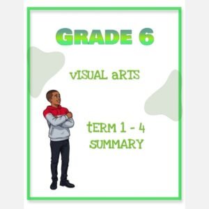 Grade 6 Visual Arts Summary (Term 1 - 4)