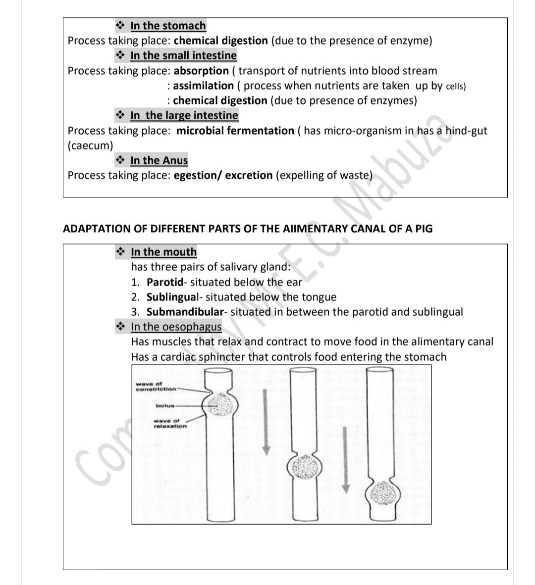 Grade 12 Agricultural Sciences Class Notes - Image 5