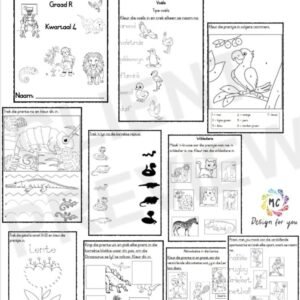 Lewensvaardighede Werkboek Graad R Kwartaal 4