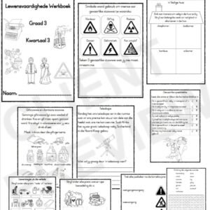 Lewensvaardighede Werkboek Graad 3 Kwartaal 3
