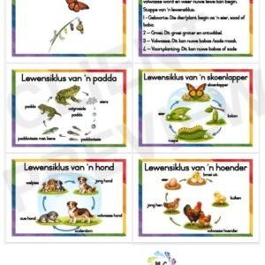 Lewensiklusse