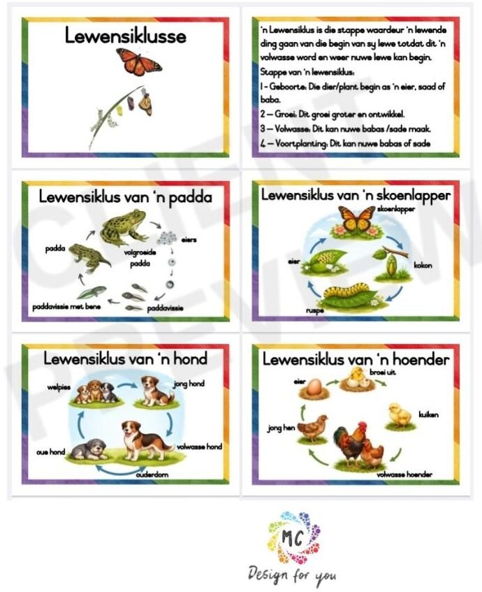 Lewensiklusse