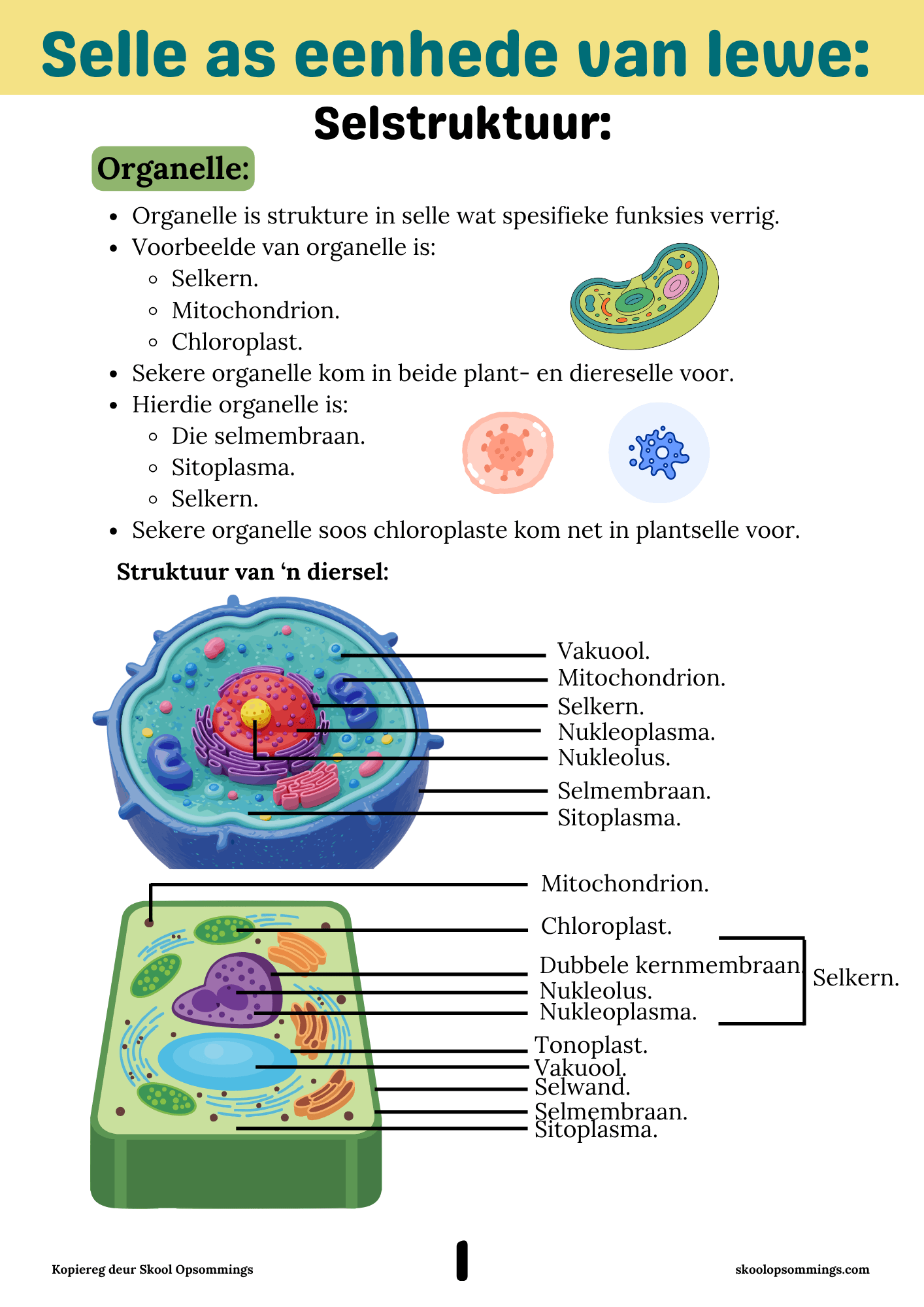 Natuurwetenskappe Kwartaal 1 en 2 GR9 - Boekie - Image 3