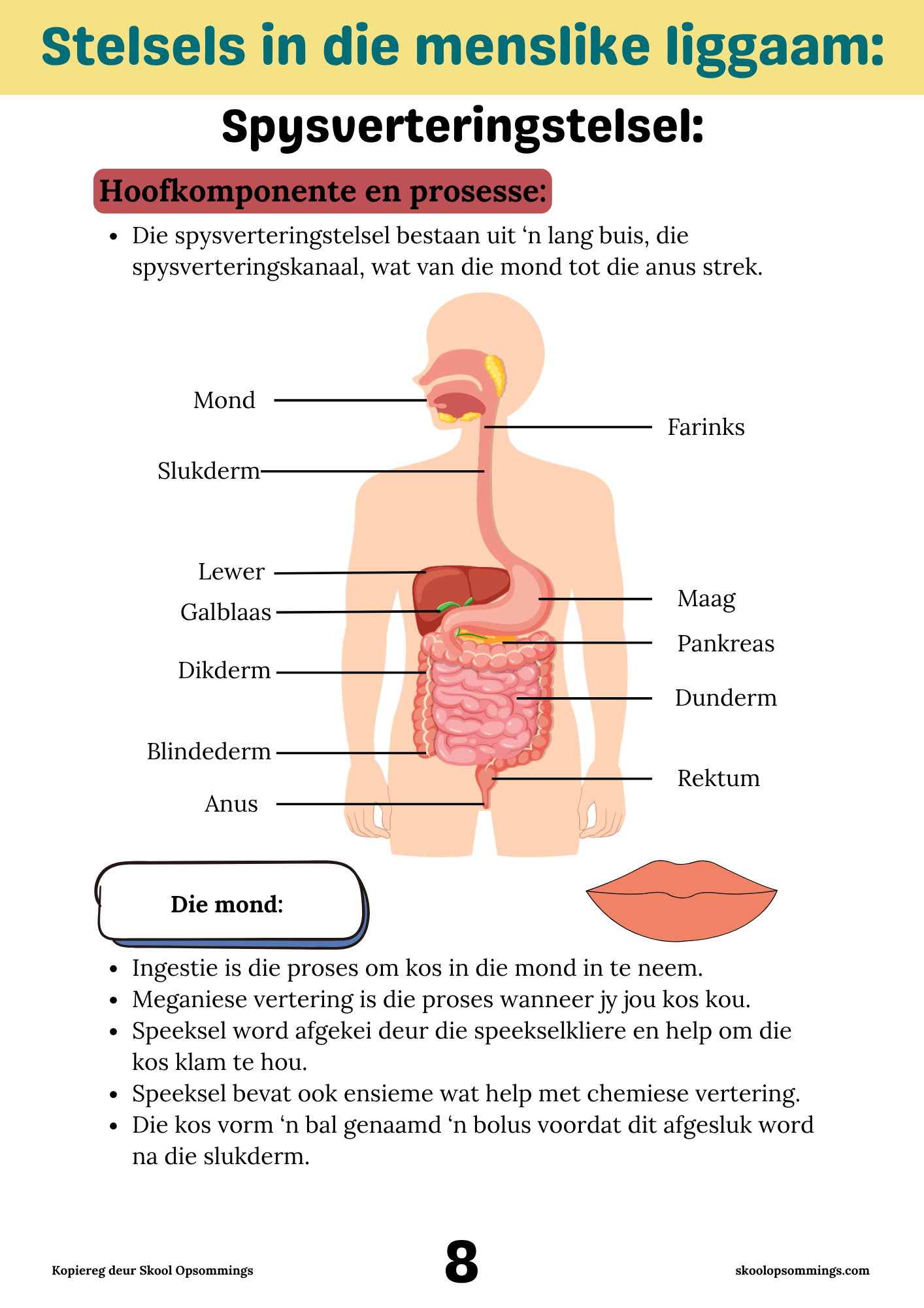 Natuurwetenskappe Kwartaal 1 en 2 GR9 - Boekie - Image 2